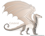 Colubrid Ref by xTheDragonRebornx
