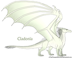 Cladonia Ref by xTheDragonRebornx