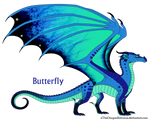Butterfly Ref by xTheDragonRebornx