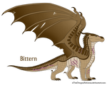 Bittern Ref by xTheDragonRebornx