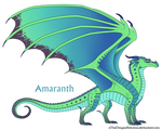 Amaranth Ref by xTheDragonRebornx