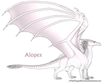 Alopex Ref by xTheDragonRebornx