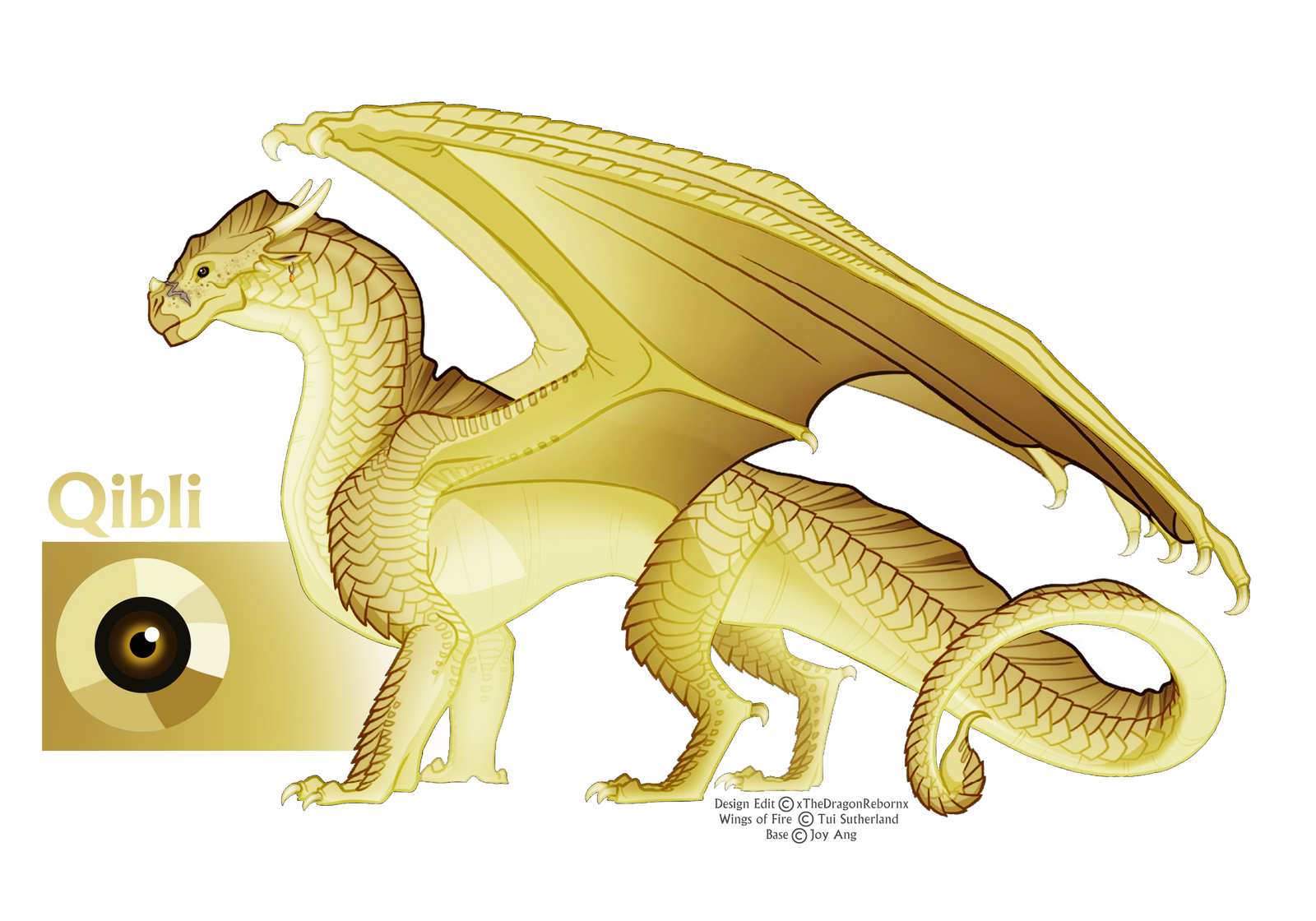 Qibli by xTheDragonRebornx on DeviantArt