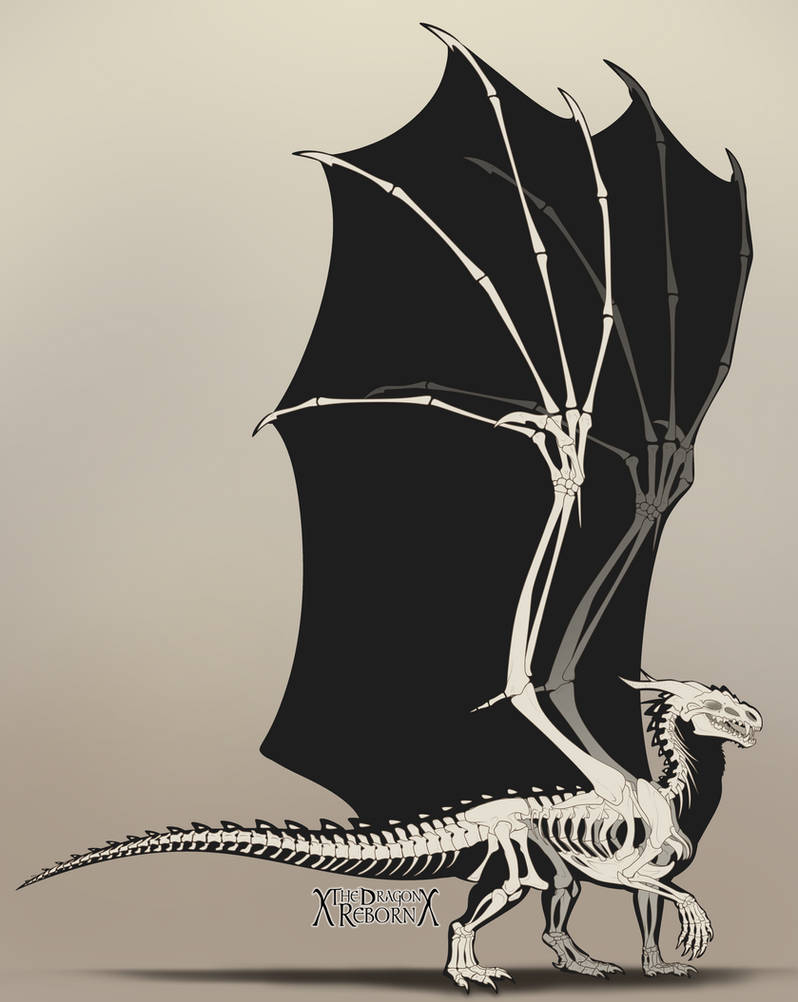 Db Skeleton Dragon Skeleton by xTheDragonRebornx on DeviantArt