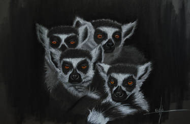 Lemurs