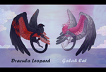Parrot Griffin adopts -OPEN- by Ayalis-Adopts