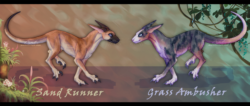 -OPEN- Raptor Dog adopts