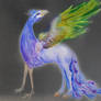 Peacock Hippogriff