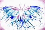 Wet Butterfly by Loliigo