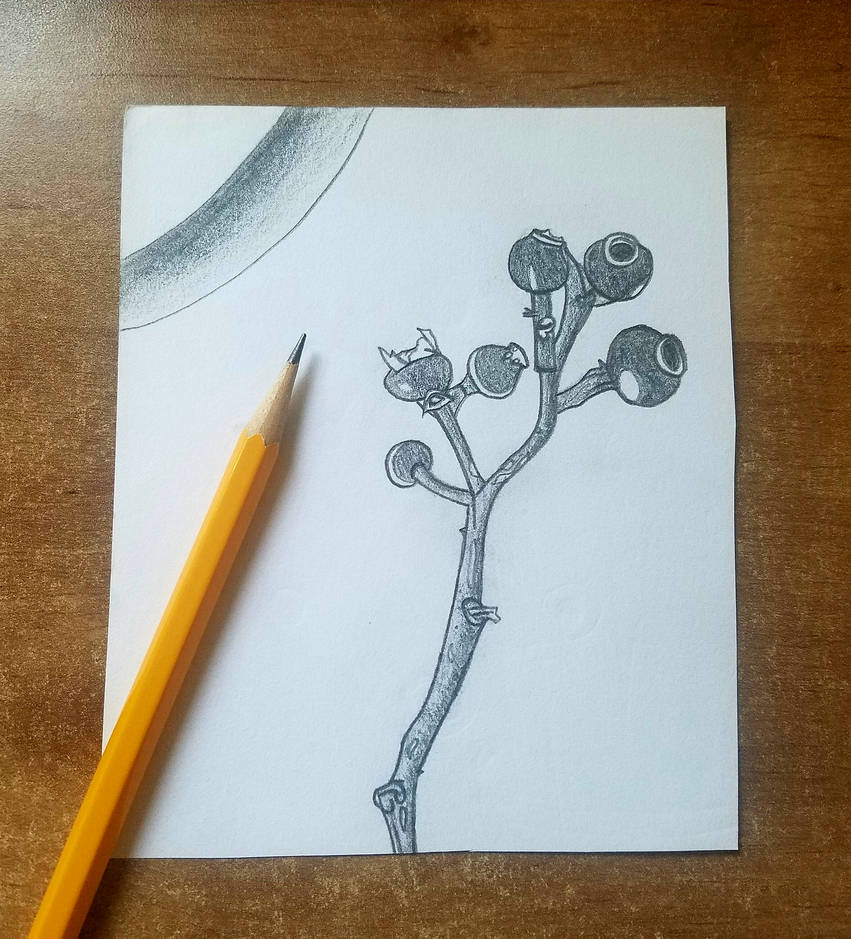 Graphite Branch Stack Graphite 13: Mini Branch by Sirafima on DeviantArt