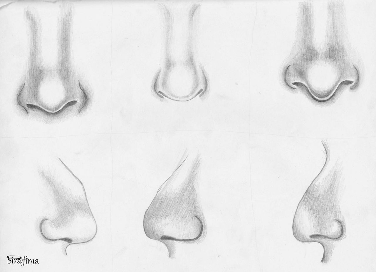 Graphite 16: Nose study by Sirafima on DeviantArt