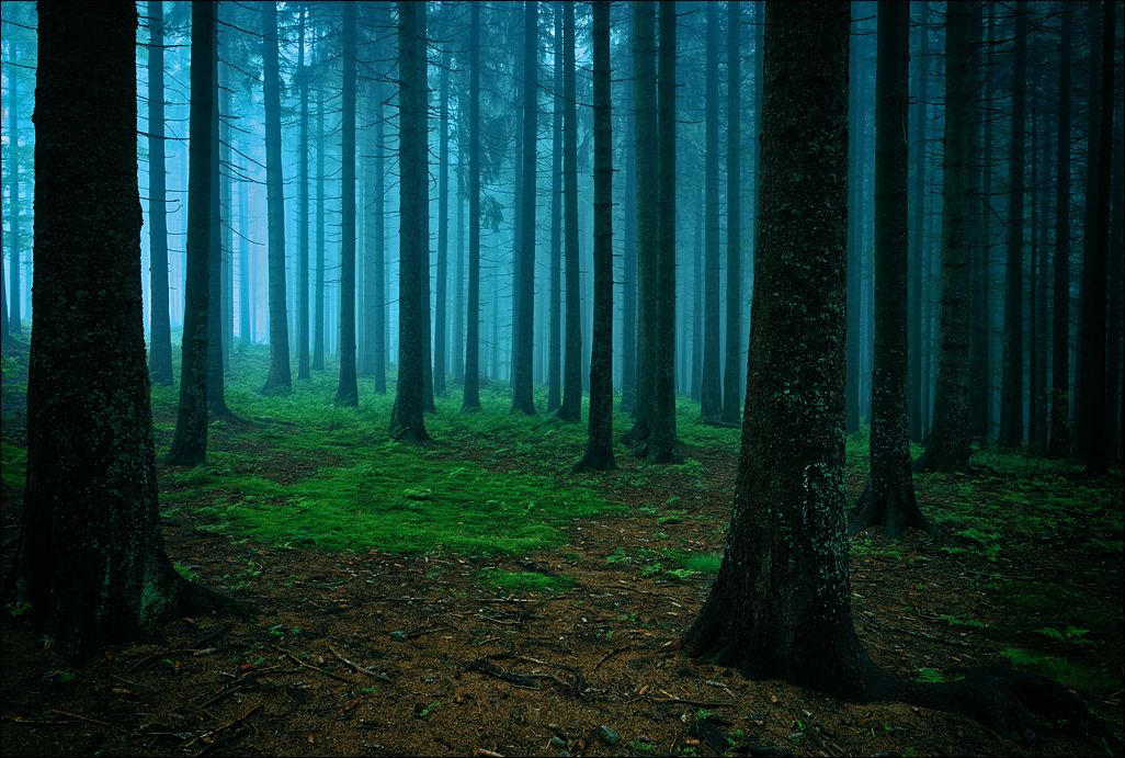 Sunerine - Hobbyist | DeviantArt