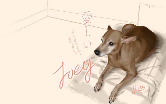 Joey