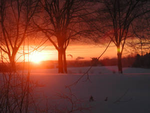 Sunrise, December 10, 2003