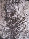 the hand that feeds by synesthesea the hand that feeds by synesthesea