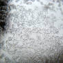 microelements 2