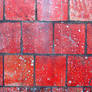crackled red tiles