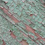 crusted mint paint 04