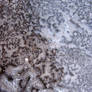 frozen ice texture 04