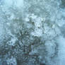 multiple ice particles