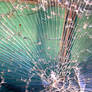 peacock glass shattered