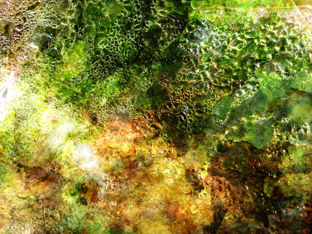 ophelia by synesthesea ophelia by synesthesea