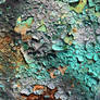 Teal Rust Sunlight