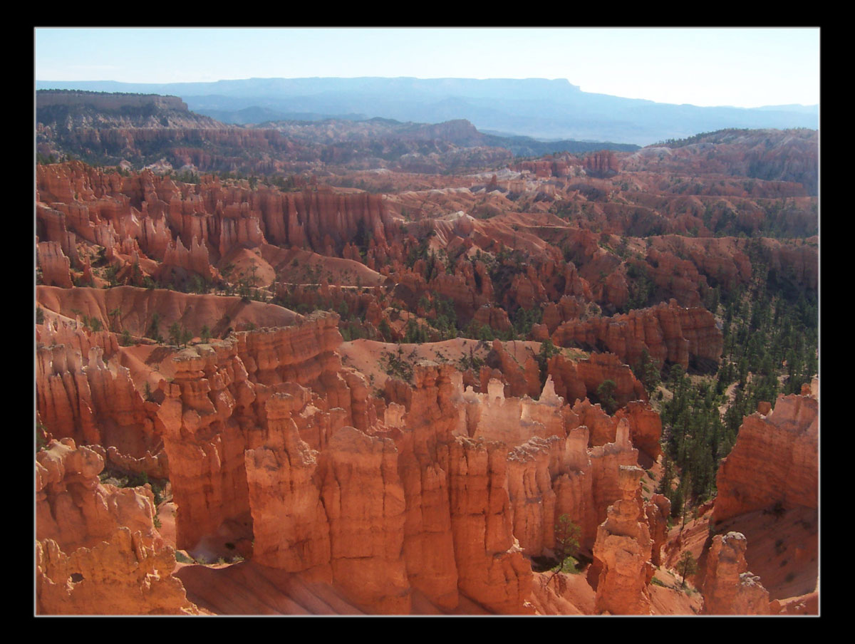 Bryce National Park