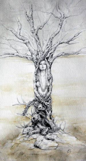 Gloaming tree by lavandulae Gloaming tree by lavandulae