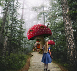 Alice Finds A Mushroom House