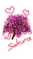 sakura tree