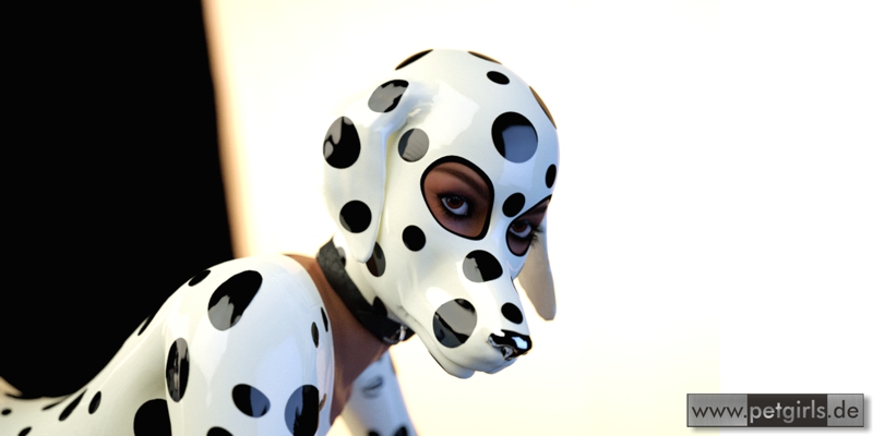 Dalmatian