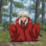 Inuyasha and the butterfly...