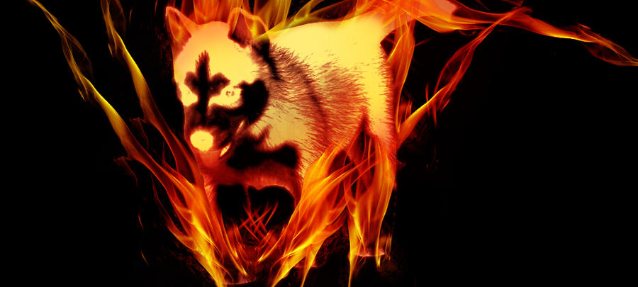 fire pup by Max-Drake-3-Rulee on DeviantArt