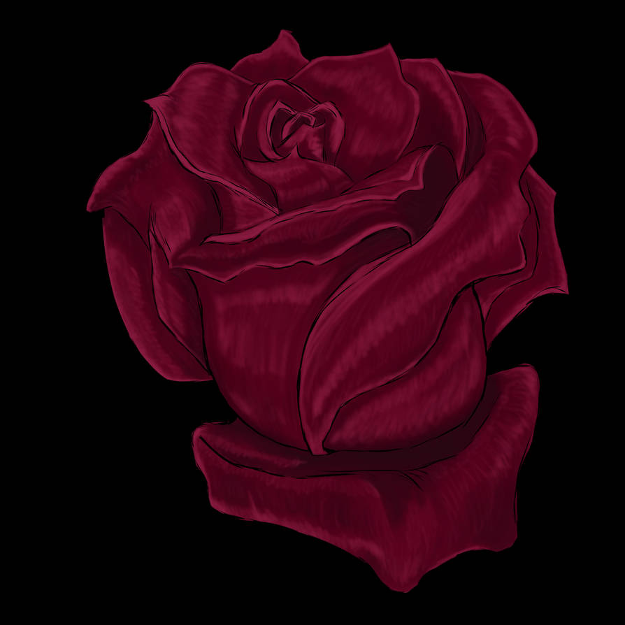 Rose 12 by Biohazardisonline on DeviantArt