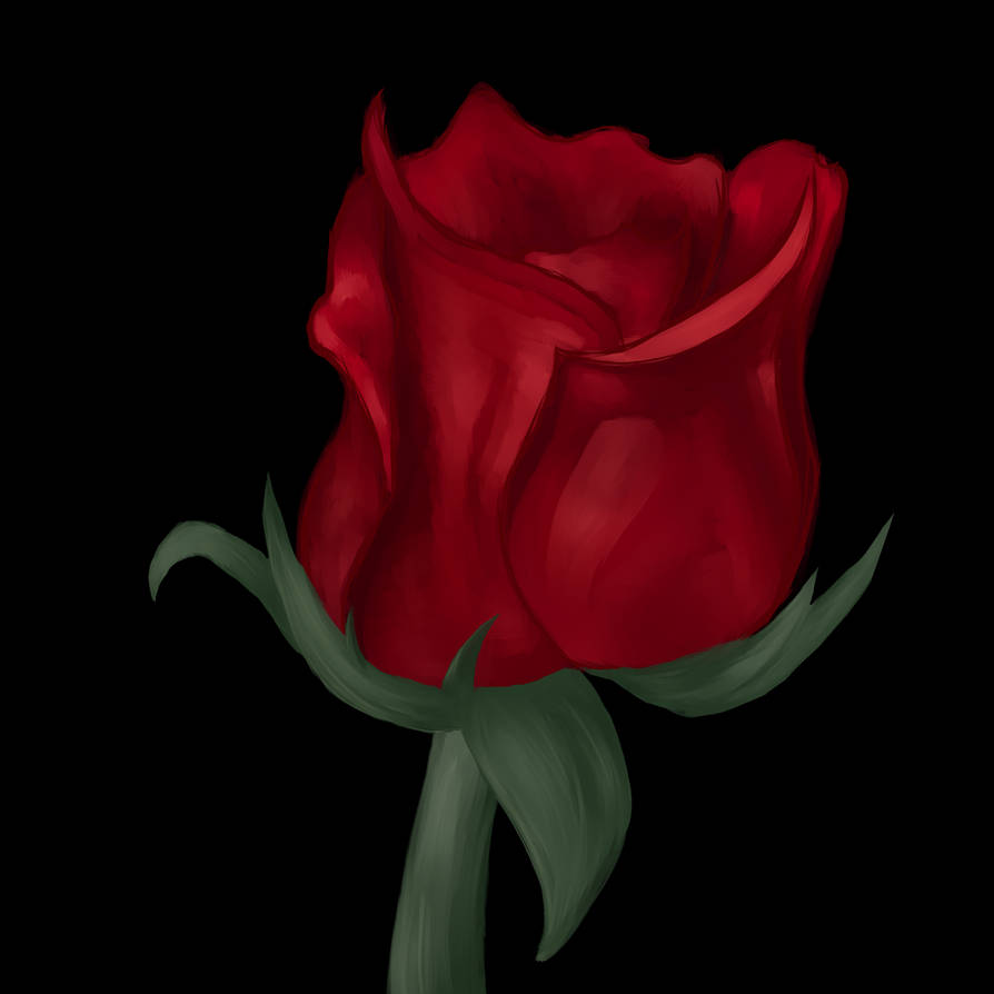 Rose 26 by Biohazardisonline on DeviantArt