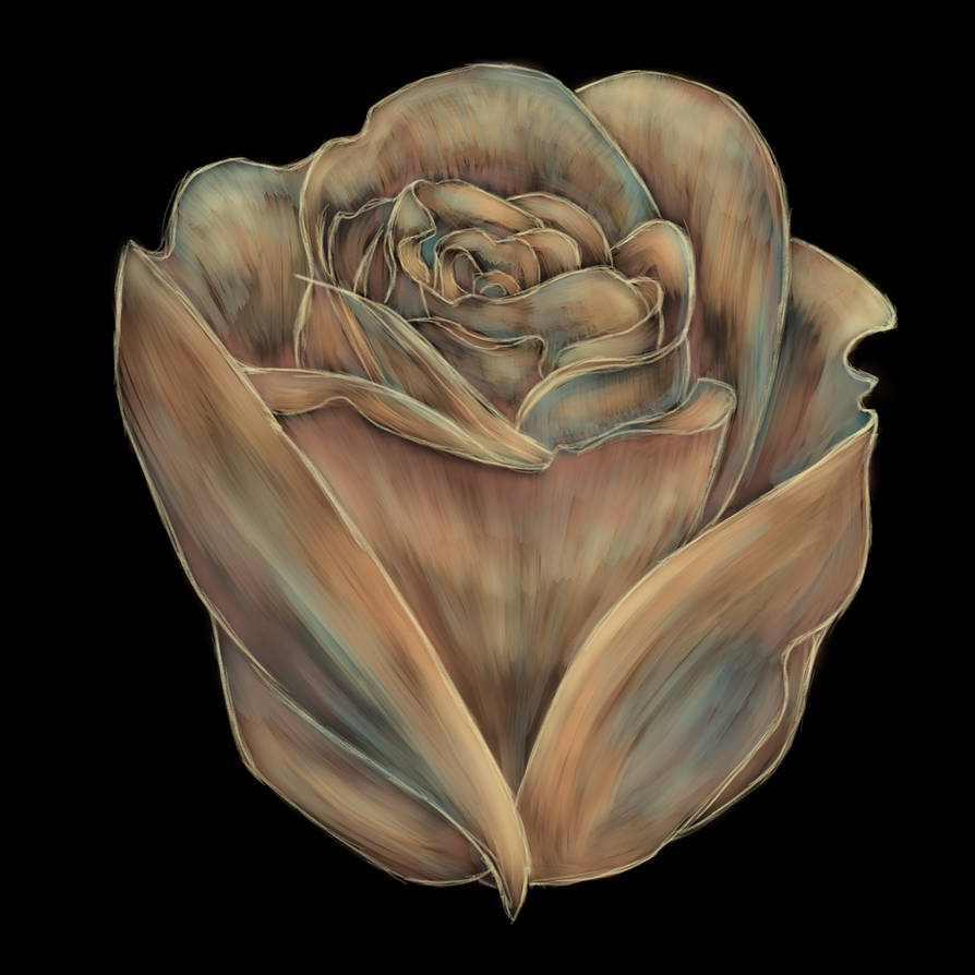 Rose 38 by Biohazardisonline on DeviantArt