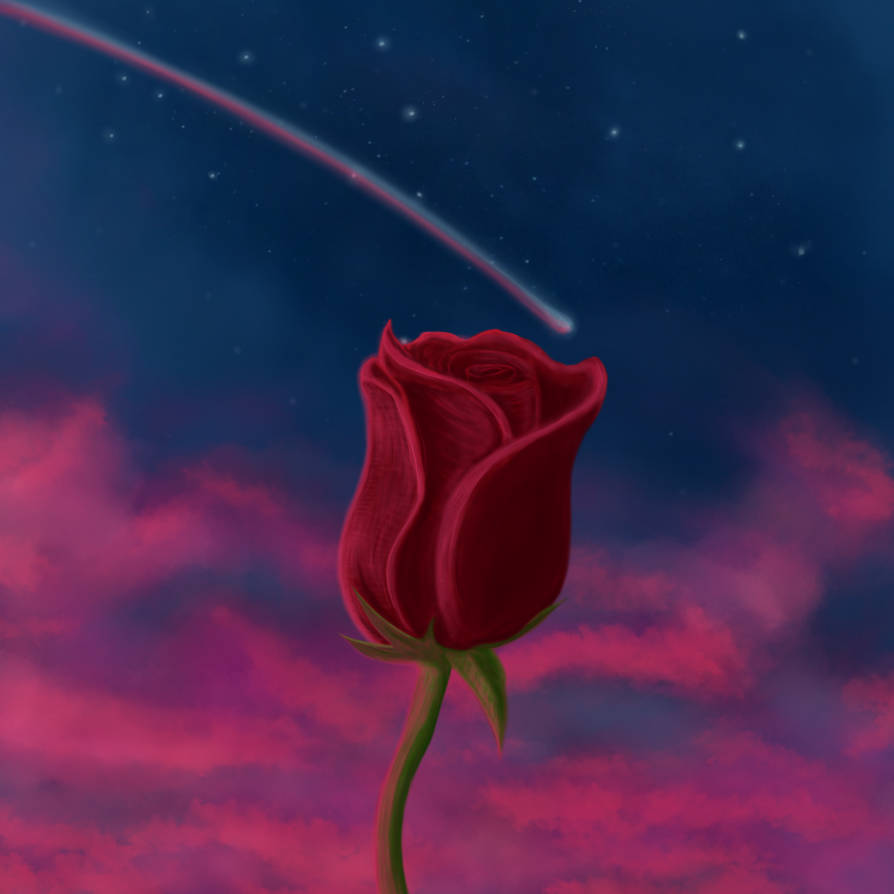 Shooting Star Over the Red Rose by Biohazardisonline on DeviantArt