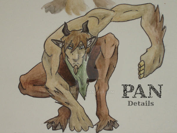 PAN Morph Details
