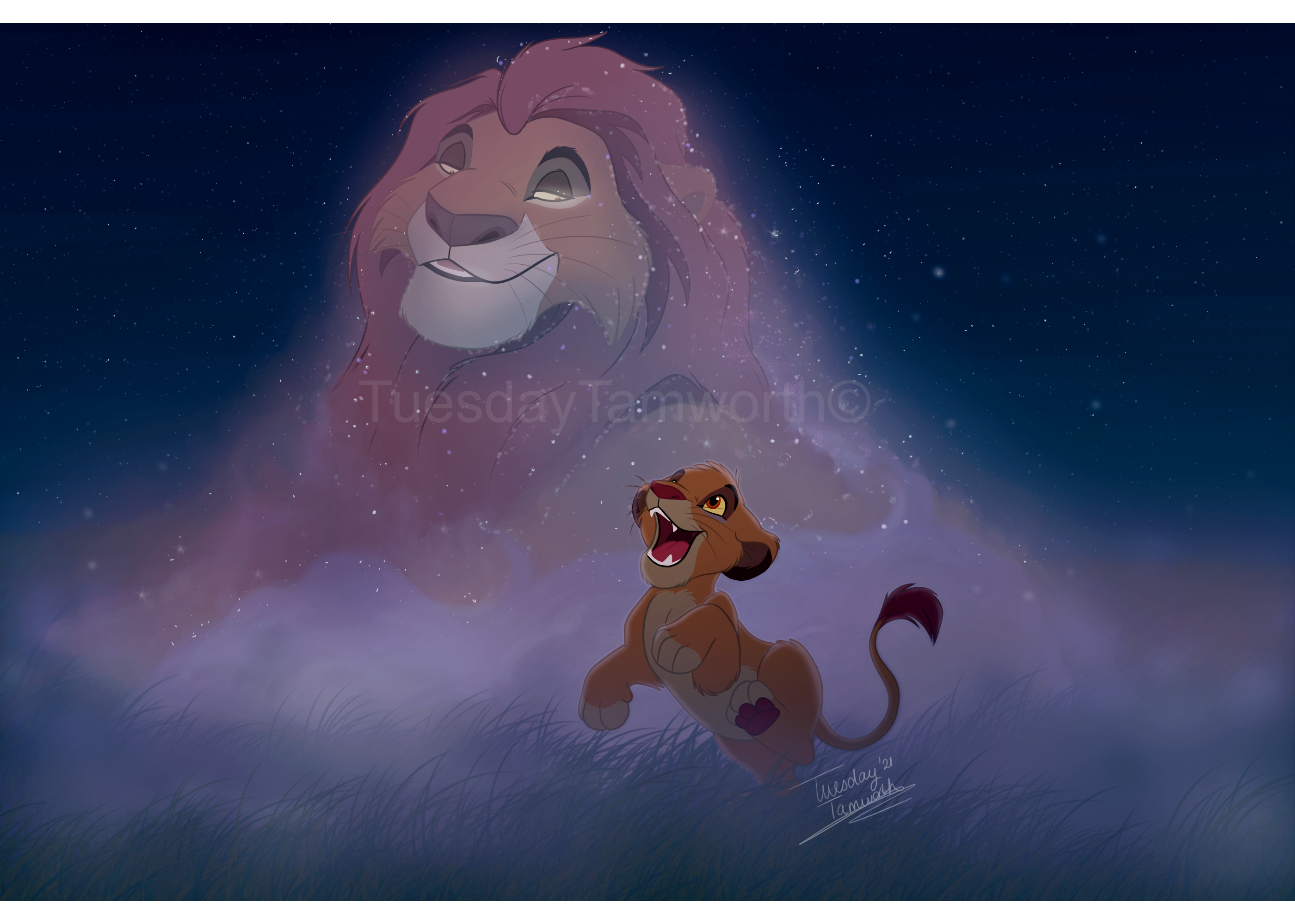 Simba Stars Mufasa And Simba Looking At The Stars