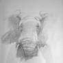 Elephant Sketch