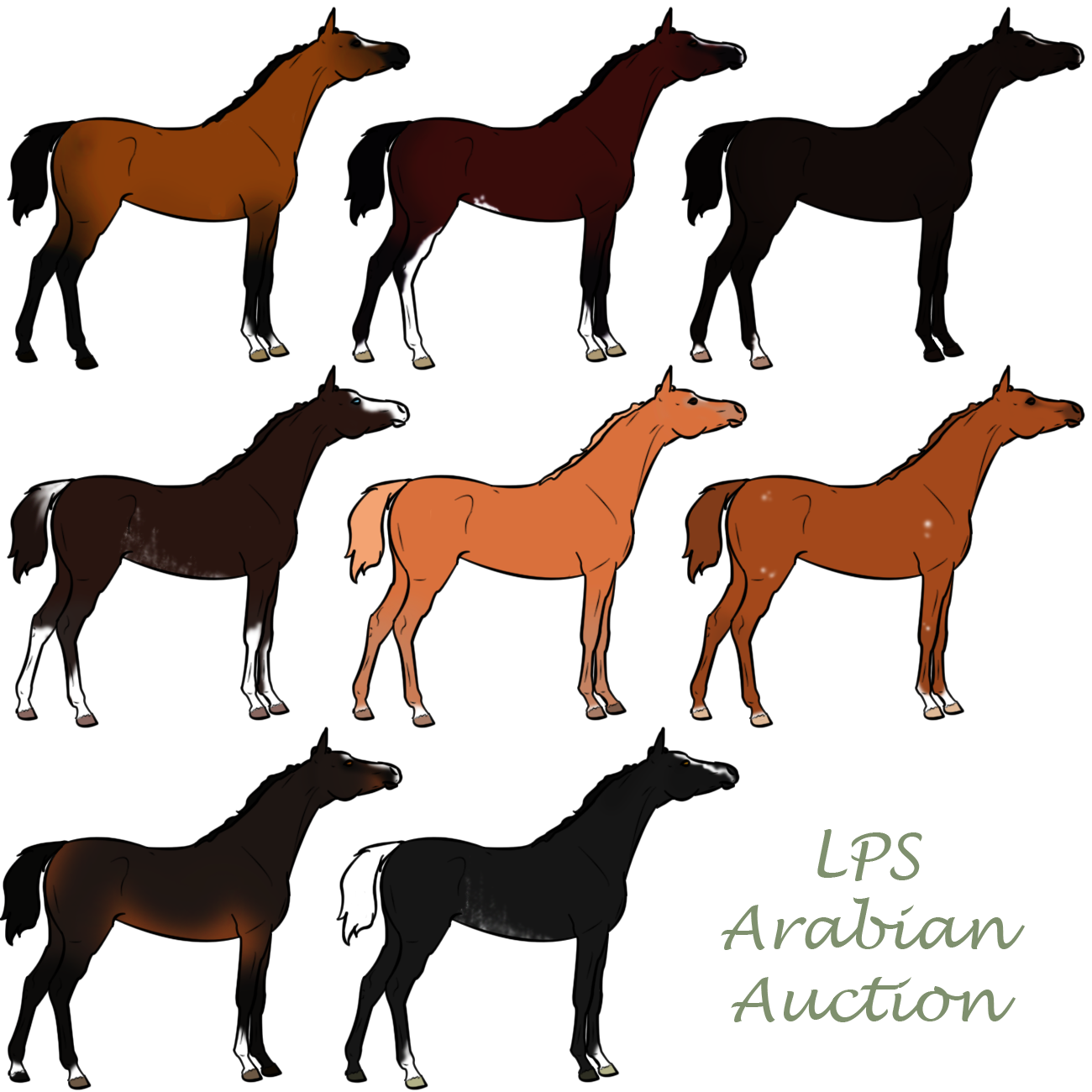 LPS Arabian Auction 2012