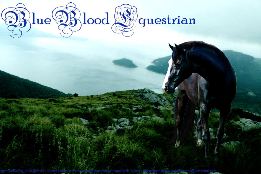 Blue Blood Equestrian Custom