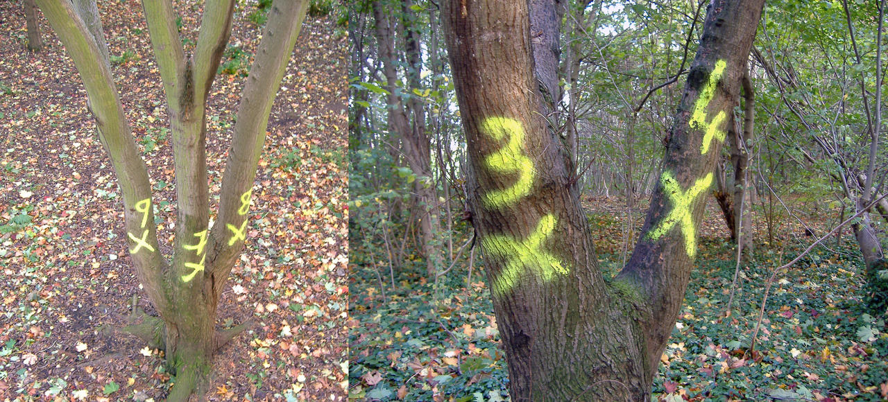 Tree Numbers by jhoony on DeviantArt