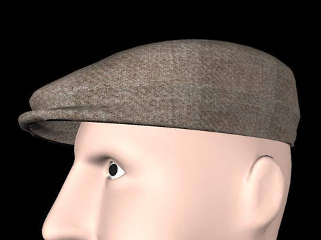 tweed hat