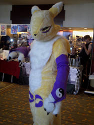 Renamon