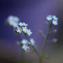 Blue.