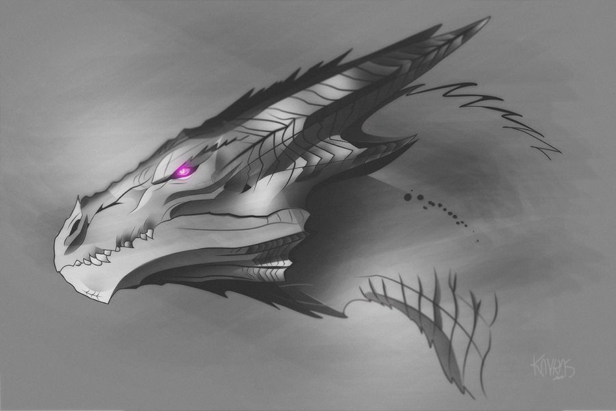 Navarog Navarog by Kavras on DeviantArt