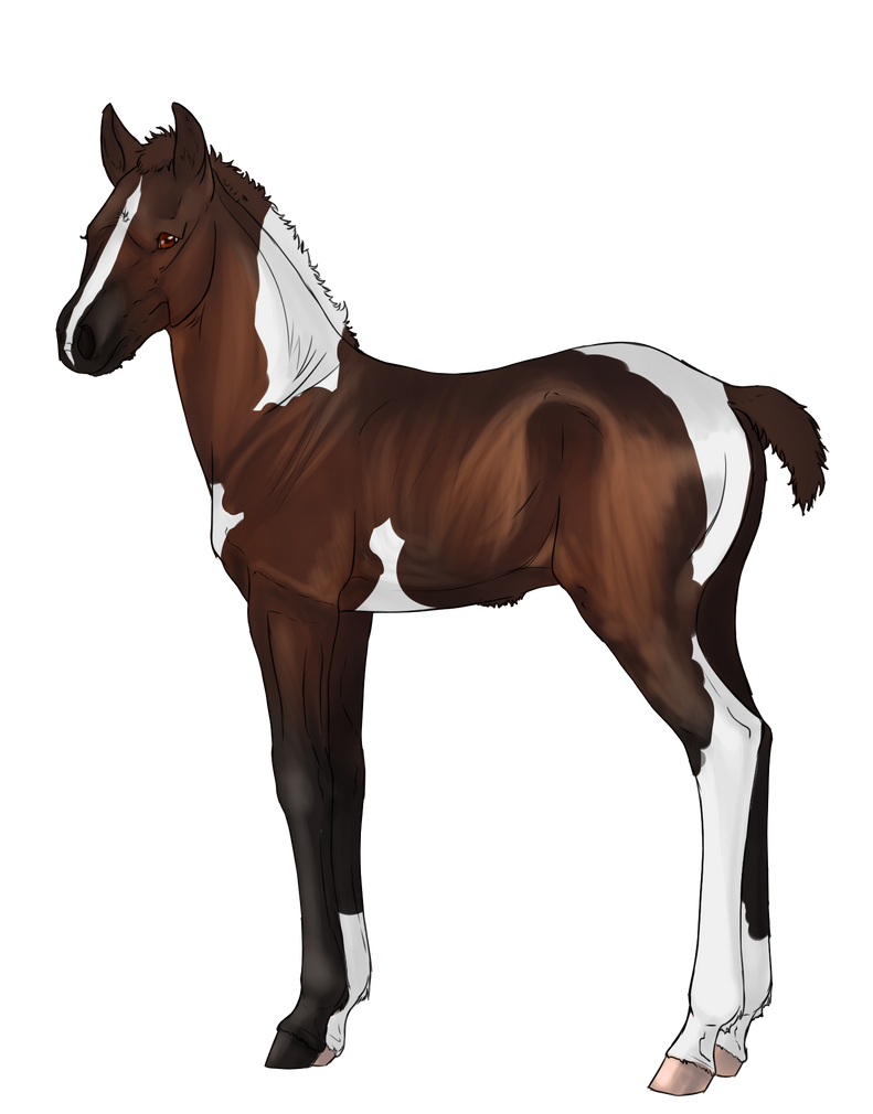 Valyrian Steel Reference by Haathwyn on DeviantArt