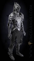 Artorias Leather Fantasy Armor Dark Souls